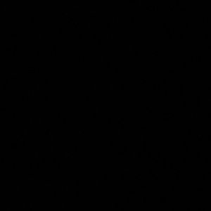 Meet your Posher, Nadya